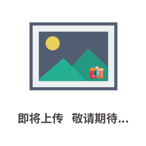 山羊皮古铜色金属光 柔软抗拉力鞋子包包真皮面料皮料优惠价羊皮